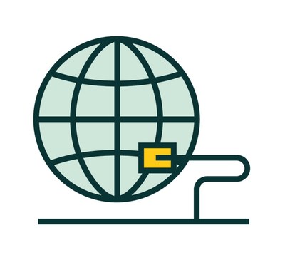 Globe icon connected to a network cable.